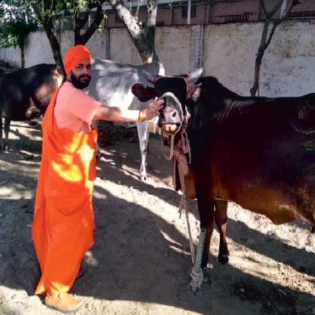 Untitled design - 2024-05-09T142456.992