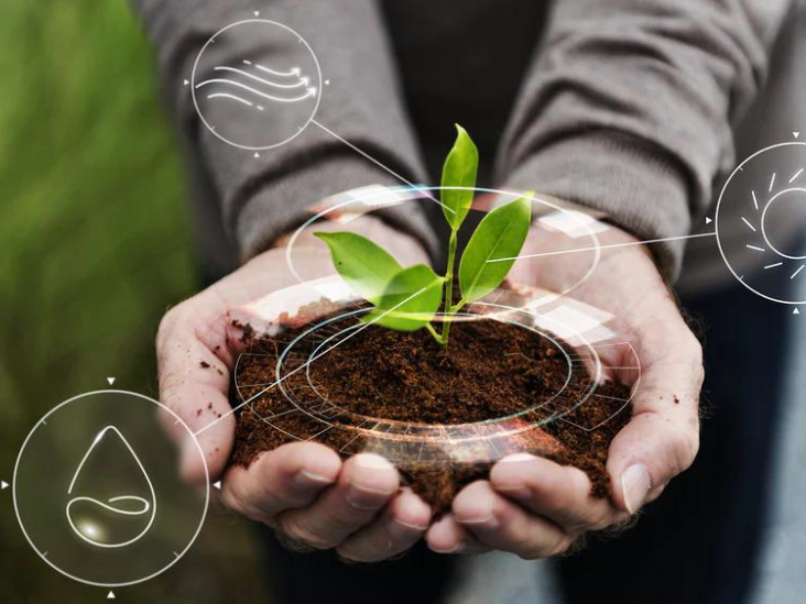 Maintenance of soil quality,air and water quality.